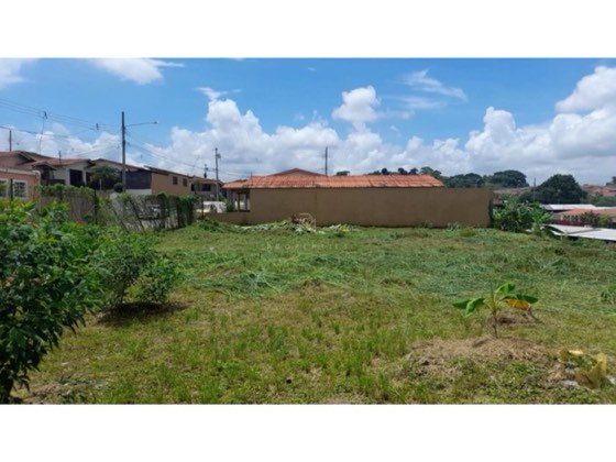 VENTA DE TERRENO EN VILLA VERONICA