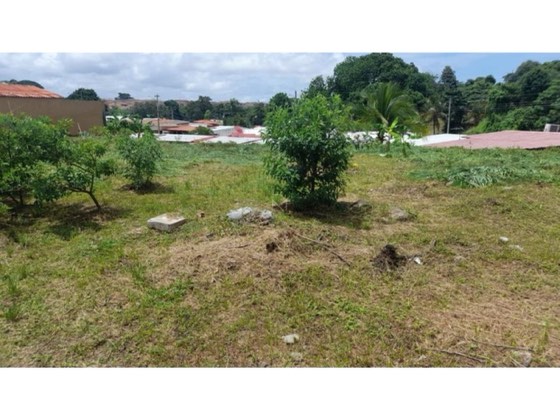 VENTA DE TERRENO EN VILLA VERONICA