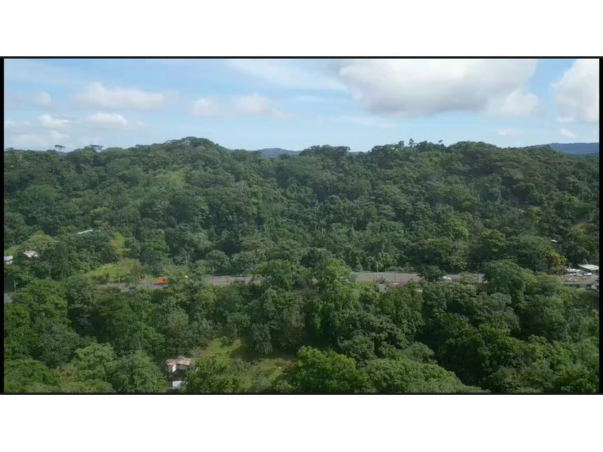VENTA DE TERRENO EN COLÓN, OPORTUNIDAD DE INVERSIÓN