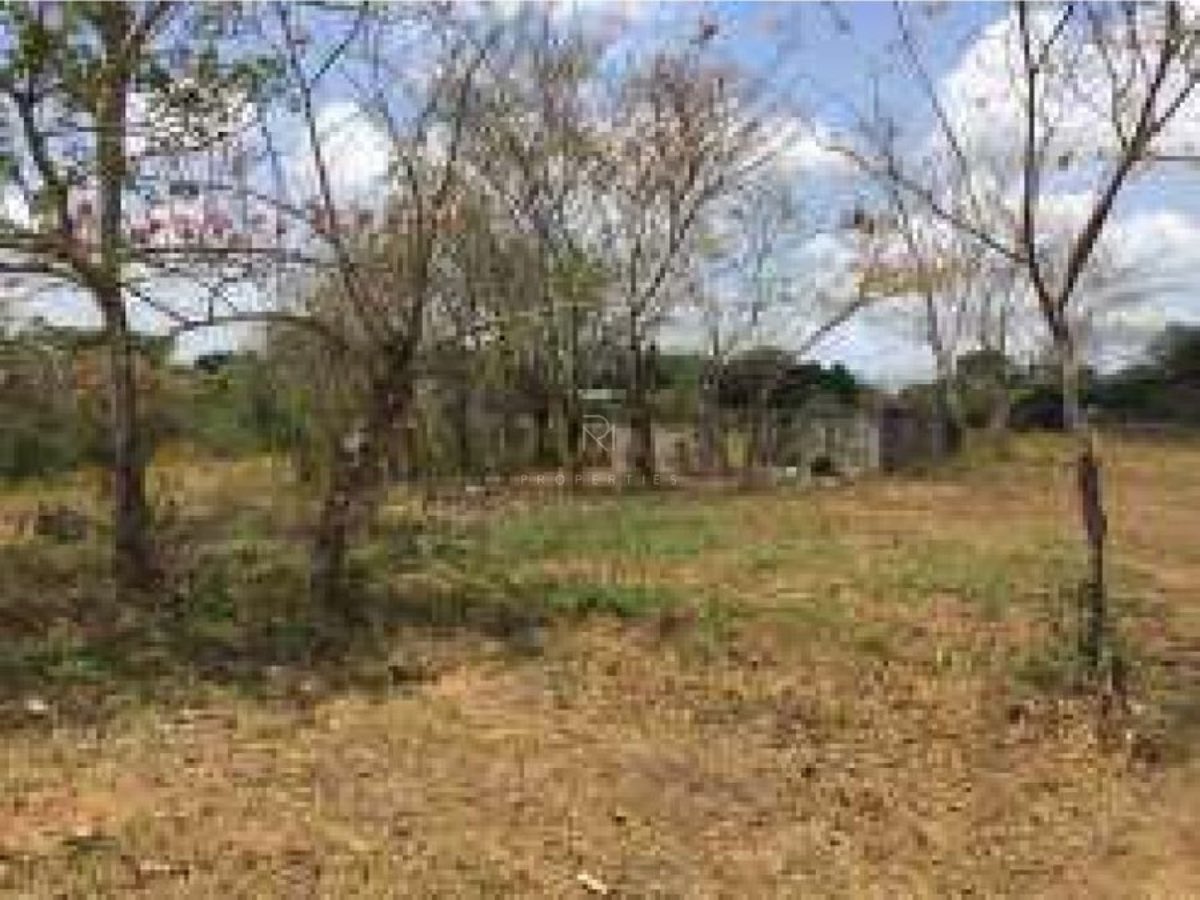 VENTA DE TERRENO EN LA CHORRERA 5.58 HA EN El ARADO