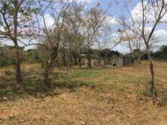 VENTA DE TERRENO EN LA CHORRERA 5.58 HA EN El ARADO
